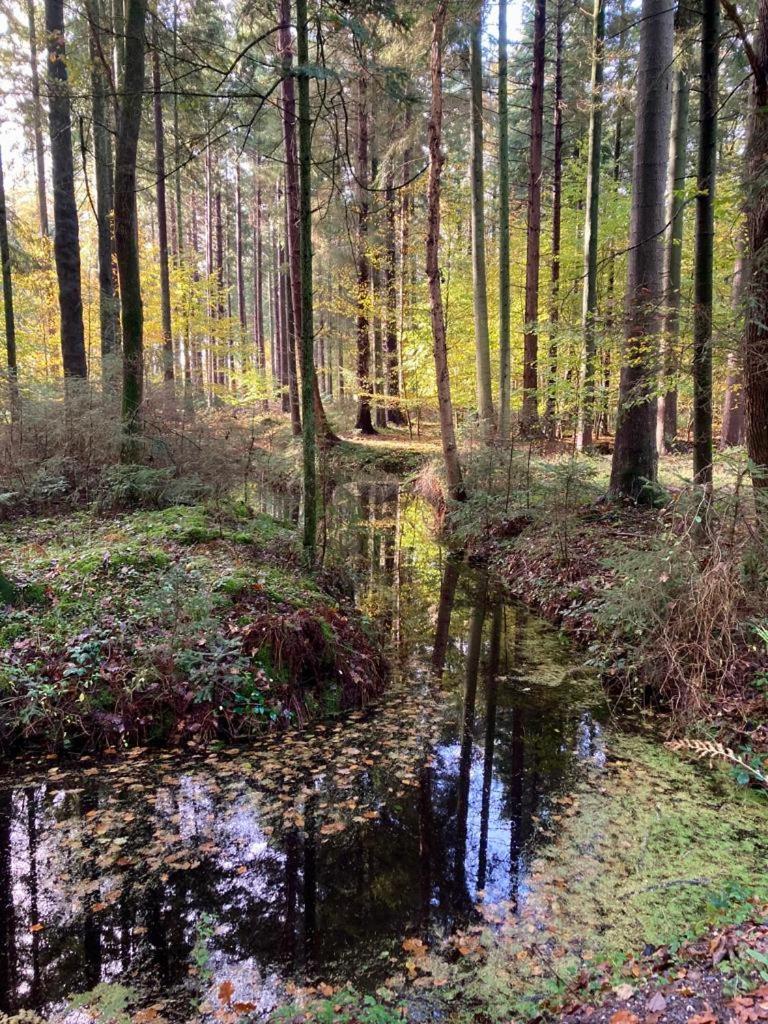 Apartment Vier Jahreszeiten Pilsum Krummhoern Luaran gambar